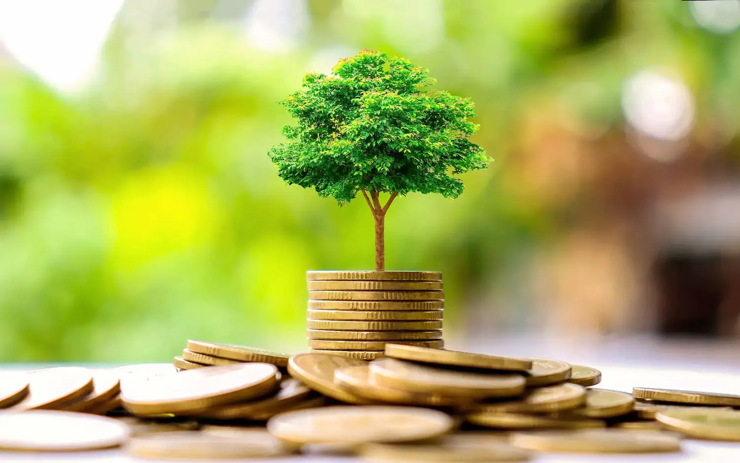 Green Innovators Program